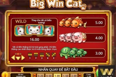 Mèo May Mắn W88 – Slot Game với cơ hội thưởng gấp 800 lần